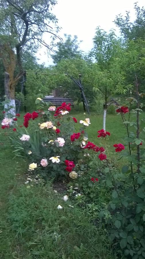 Casa Livada Bunicii Villa Tîrgu Ocna Eksteriør billede