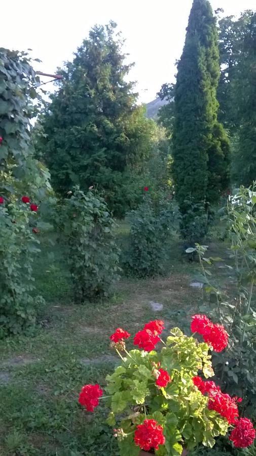 Casa Livada Bunicii Villa Tîrgu Ocna Eksteriør billede