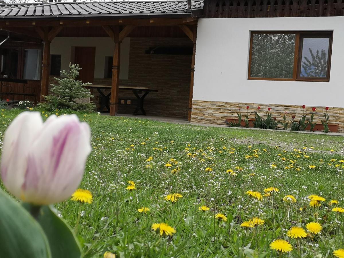 Casa Livada Bunicii Villa Tîrgu Ocna Eksteriør billede