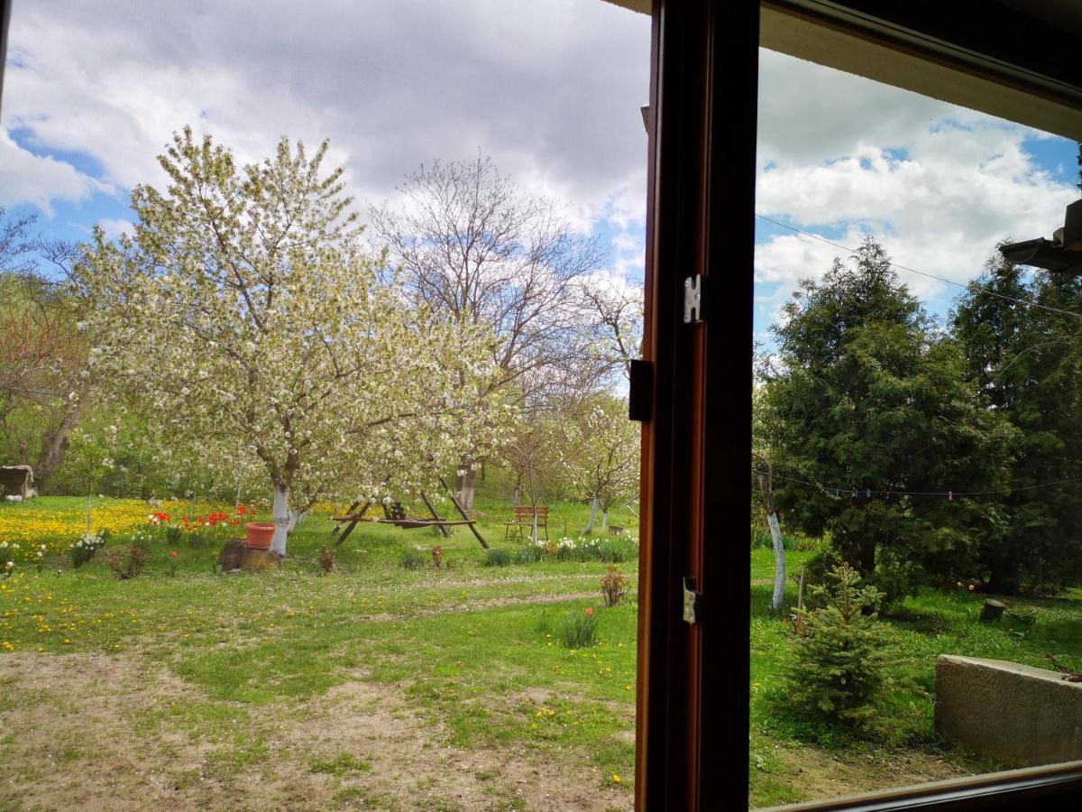 Casa Livada Bunicii Villa Tîrgu Ocna Eksteriør billede