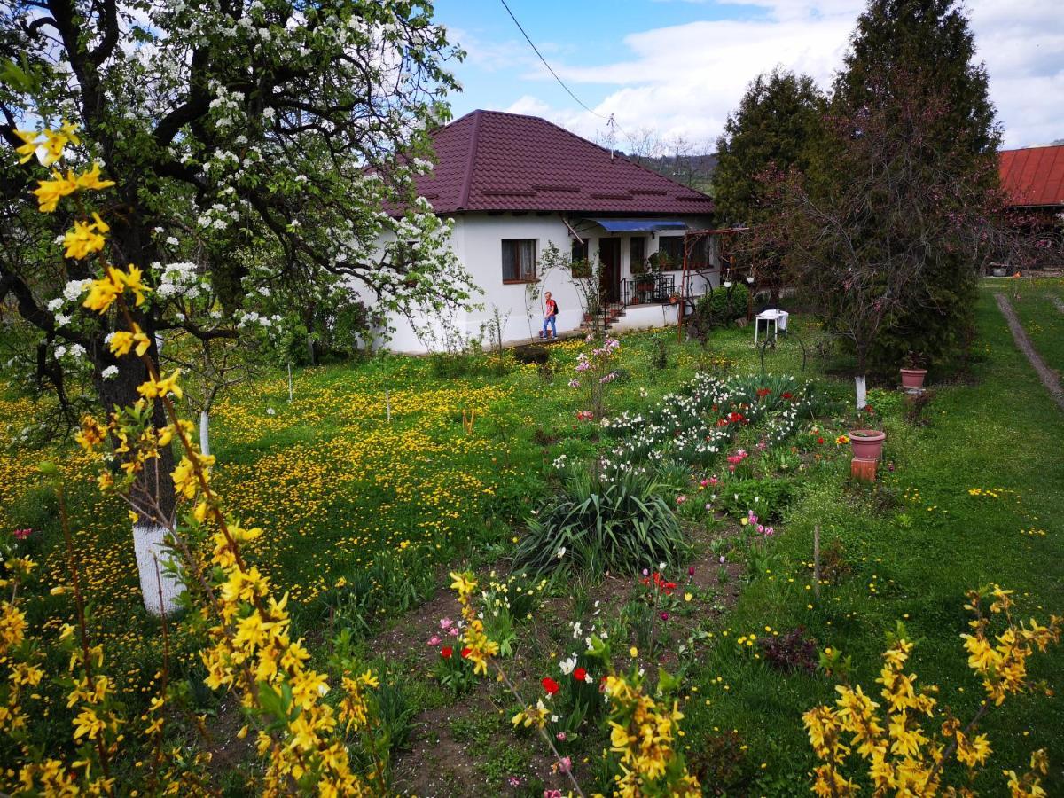 Casa Livada Bunicii Villa Tîrgu Ocna Eksteriør billede