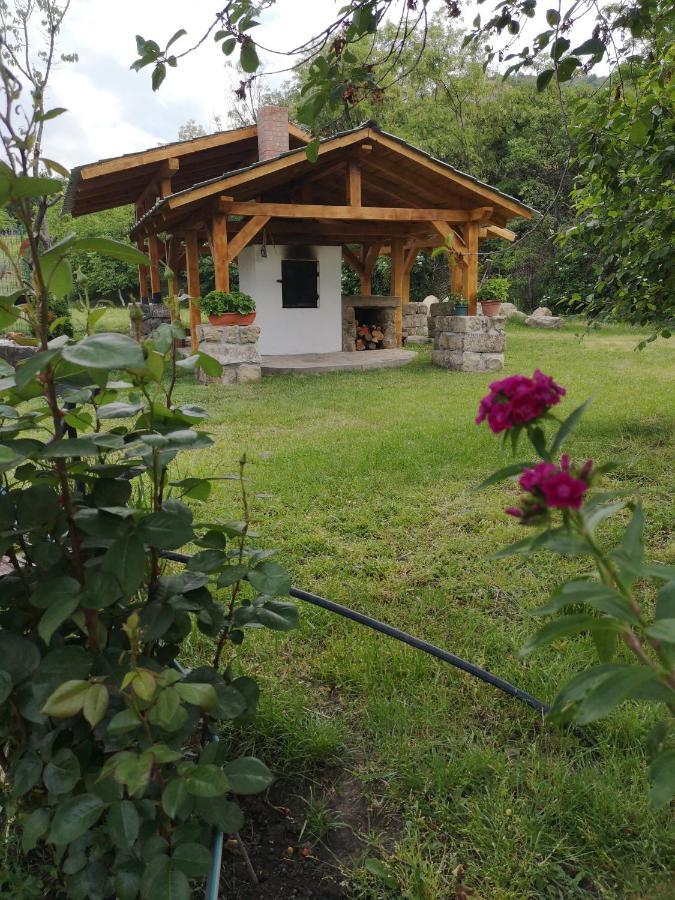Casa Livada Bunicii Villa Tîrgu Ocna Eksteriør billede