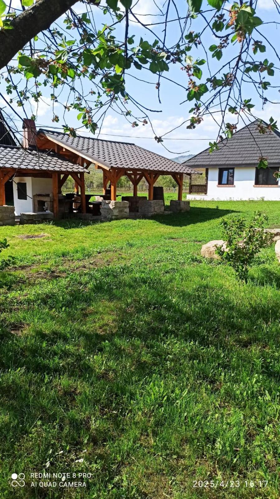 Casa Livada Bunicii Villa Tîrgu Ocna Eksteriør billede
