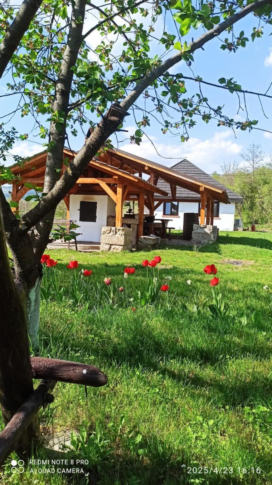 Casa Livada Bunicii Villa Tîrgu Ocna Eksteriør billede