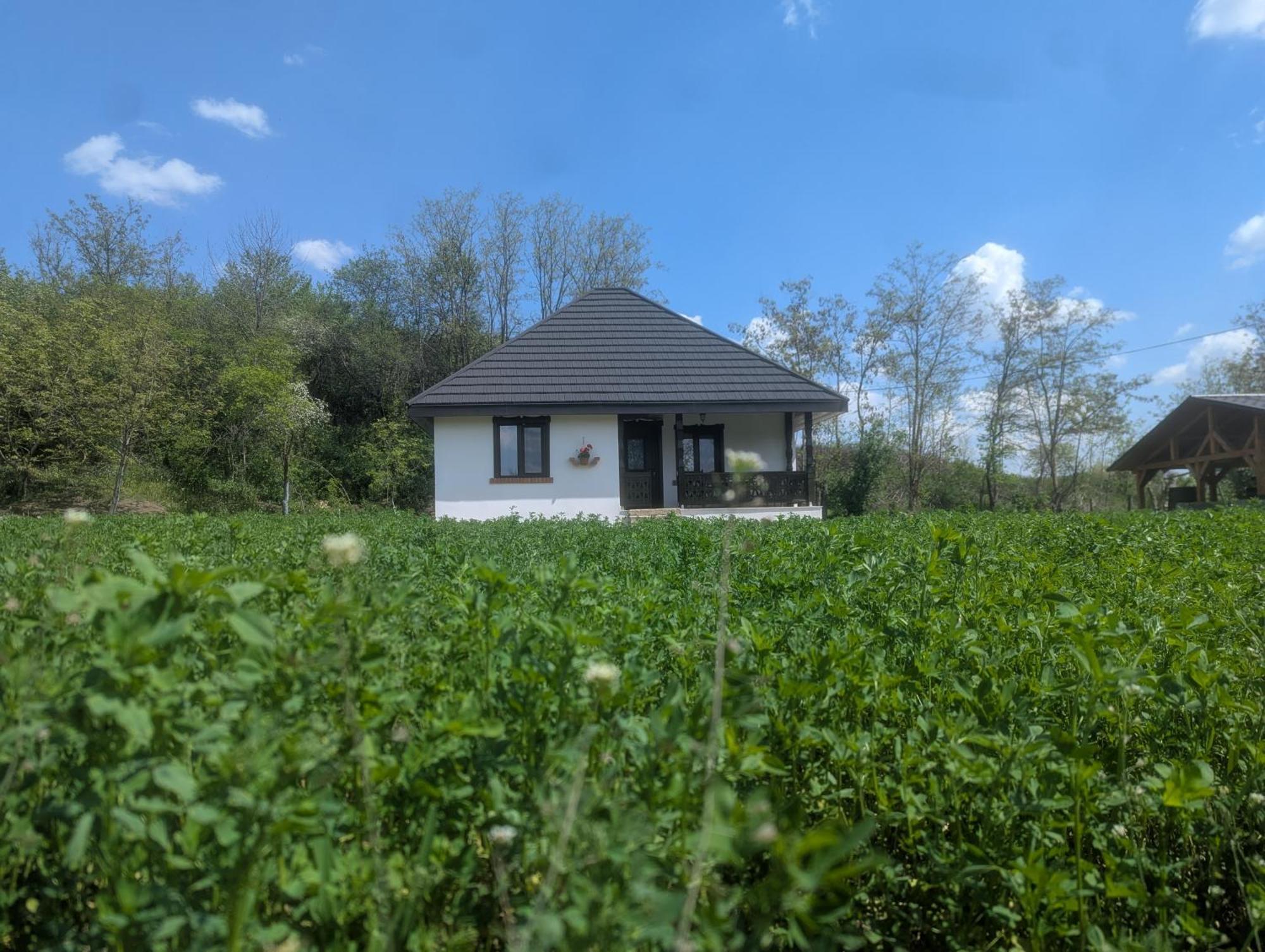 Casa Livada Bunicii Villa Tîrgu Ocna Værelse billede